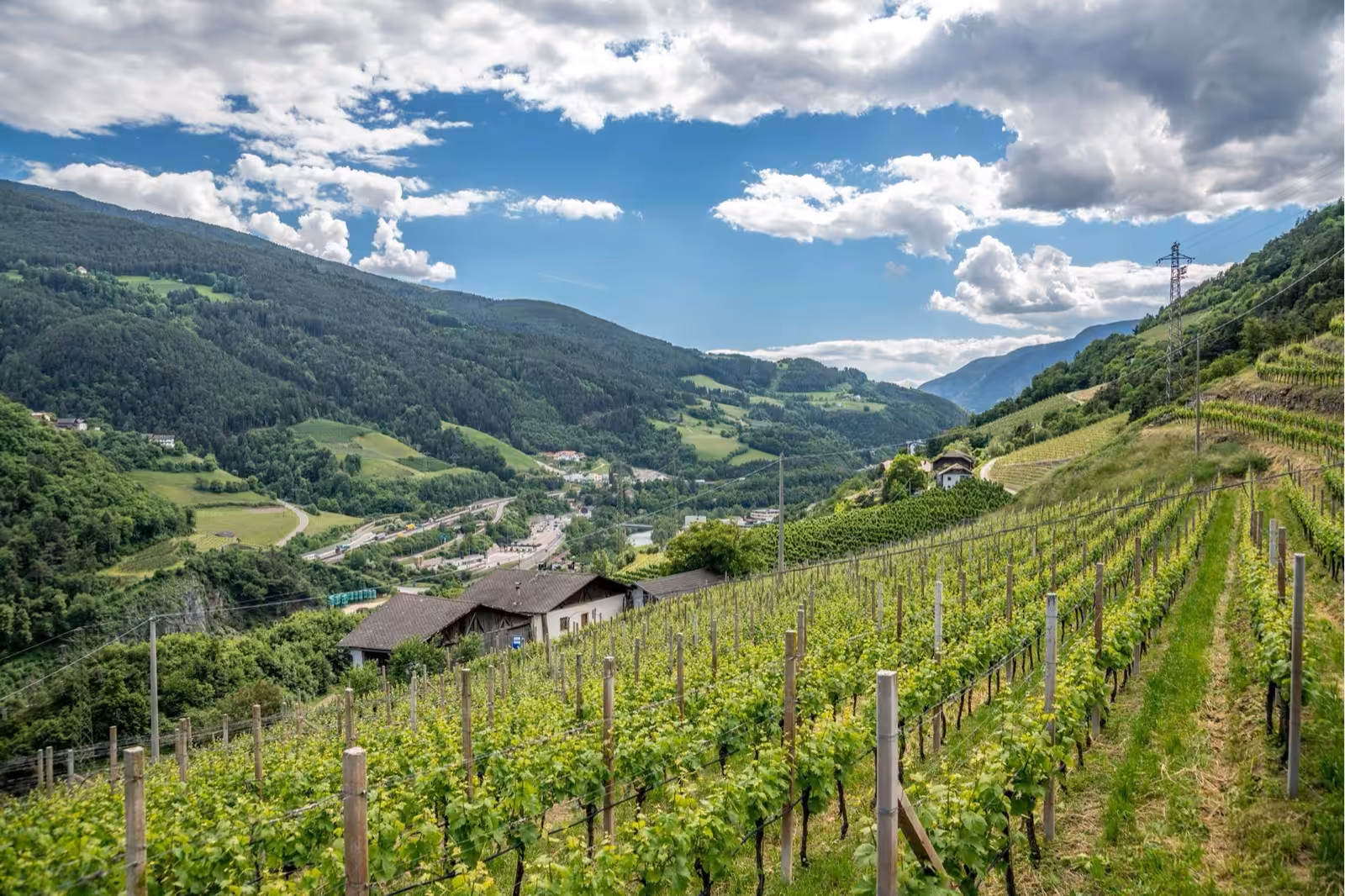 Genuss und Weinwege